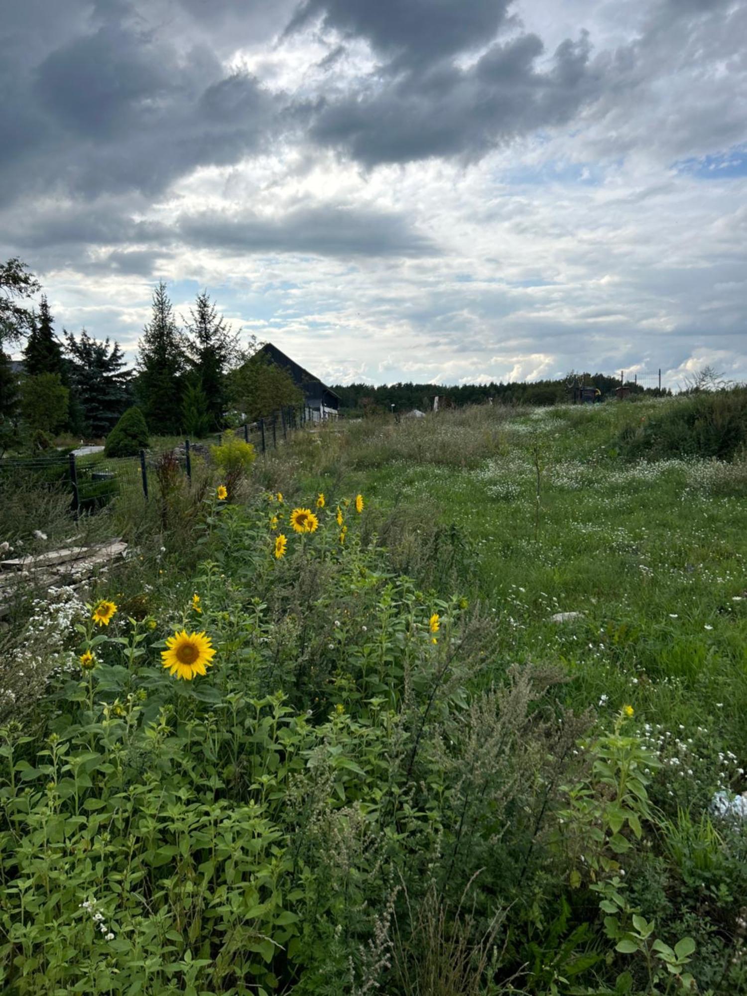 Ferienwohnung Nowa Stodola Koniec Swiata Mikołajki Exterior foto